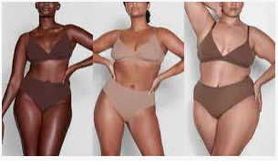 Skims Underwear & Bodysuit