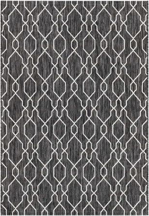 Rug 7x10 Indoor/Outdoor